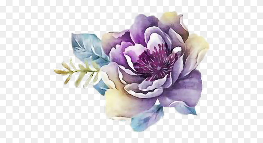 503x397 Ftestickers Art Акварельный Цветок Роза Фиолетовый Цветок Акварель Фиолетовый, Растение, Цветение, Георгин Png Скачать