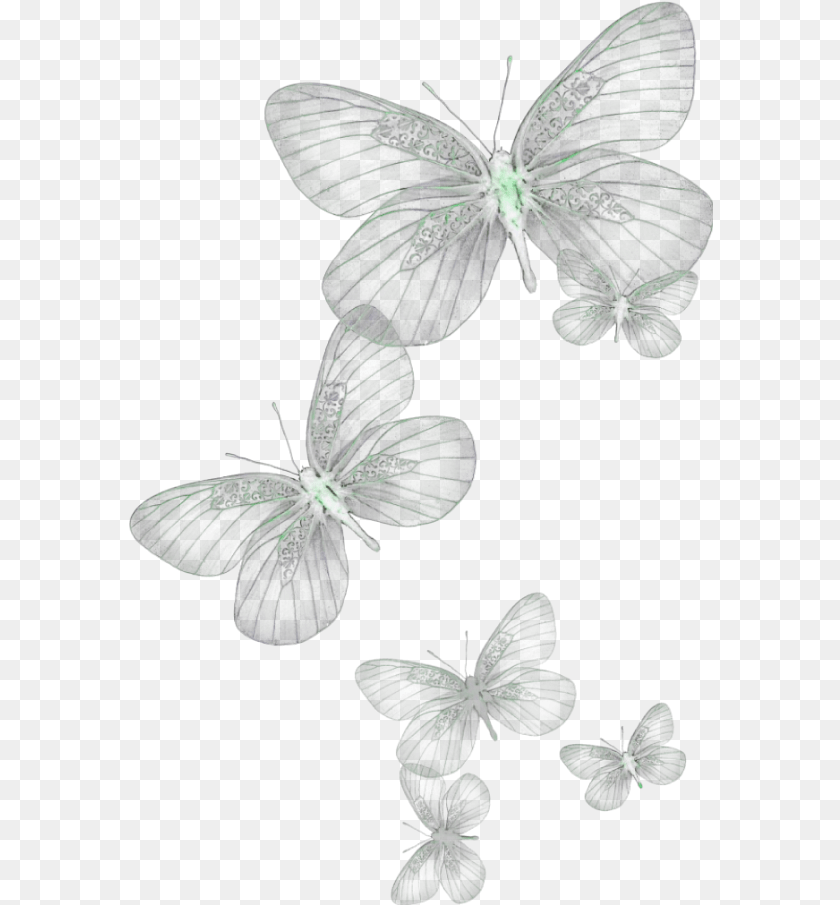 585x905 Ftestickers Butterflies Glow Green Transparent Background Butterfly, Plant, Art, Flower Clipart PNG