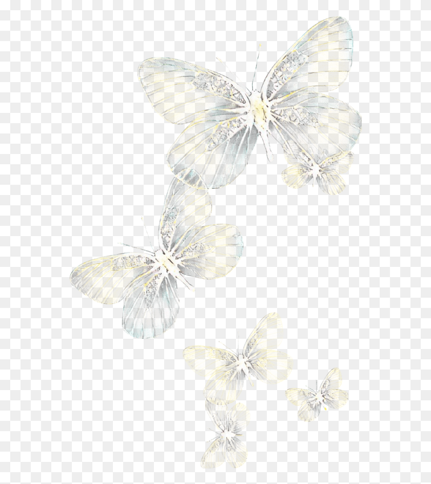 572x883 Бабочки Ftestickers Light Glowing Pieridae, Растение, Цветочный Дизайн, Узор Hd Png Скачать