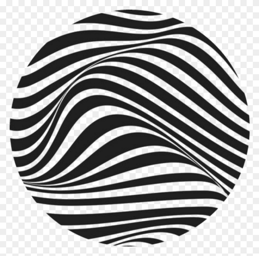 855x842 Ftestickers Circle Black Lines Stripes Abstract Waves Art, Rug, Zebra, Wildlife HD PNG Download