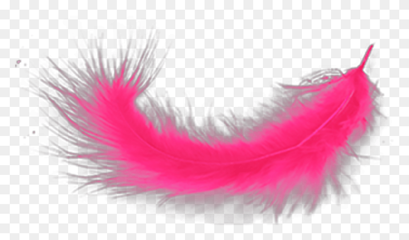 854x476 Ftestickers Feather Pink Feather, Clothing, Apparel, Scarf HD PNG Download
