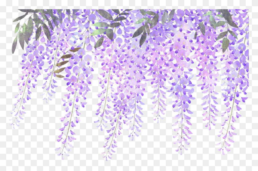 1024x652 Ftestickers Flowers Border Lavender Wisteria Lavender Flower Border, Plant, Flower, Blossom HD PNG Download