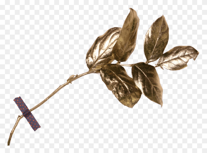1024x734 Descargar Pngftestickers Gold Leaves Freetoedit Perfectamente Imperfecto Wabi Sabi, Hoja, Planta, Insecto Hd Png