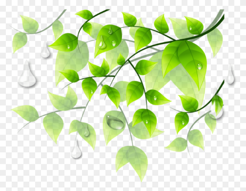 2093x1590 Ftestickers Leaves Greenery Raindrops Border Corner Greenery Corner Transparent, Leaf, Plant, Green HD PNG Download