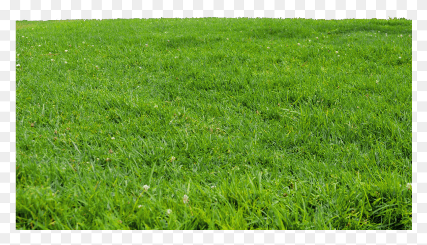 1025x557 Ftestickers Nature Landscape Grass Green Park Background, Plant, Lawn, Field HD PNG Download