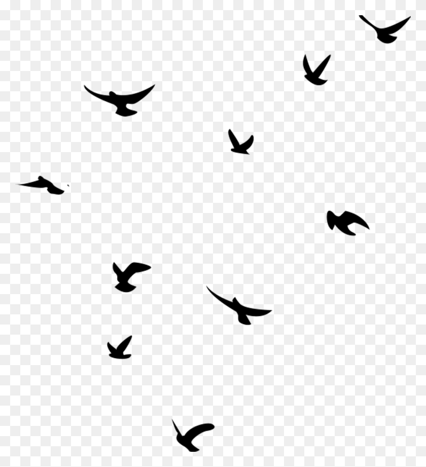 1024x1131 Ftestickers Sticker Birds, Gray, World Of Warcraft HD PNG Download