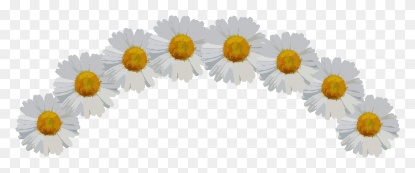 892x332 Ftestickers Sticker Daisy Flower Crown, Plant, Daisies, Blossom HD PNG Download