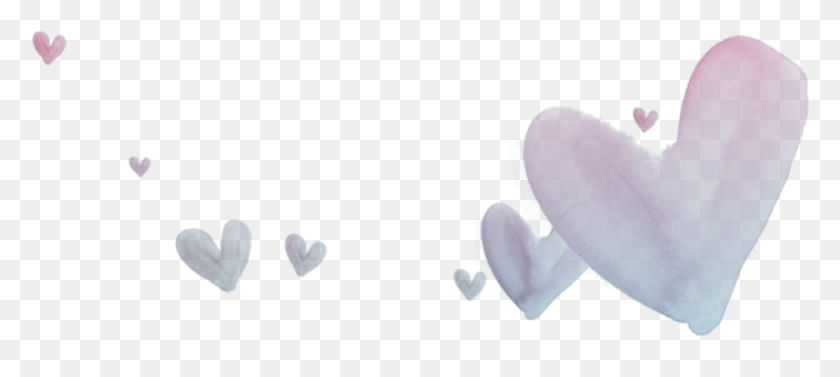 855x348 Ftestickers Sticker Heart, Flower, Plant, Blossom HD PNG Download