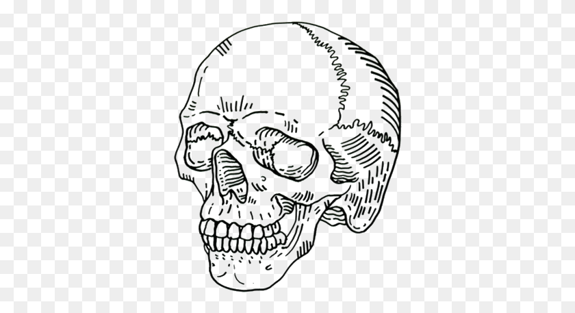 334x397 Ftestickers Sticker Skull Drawing Aesthetic, Statue HD PNG Download