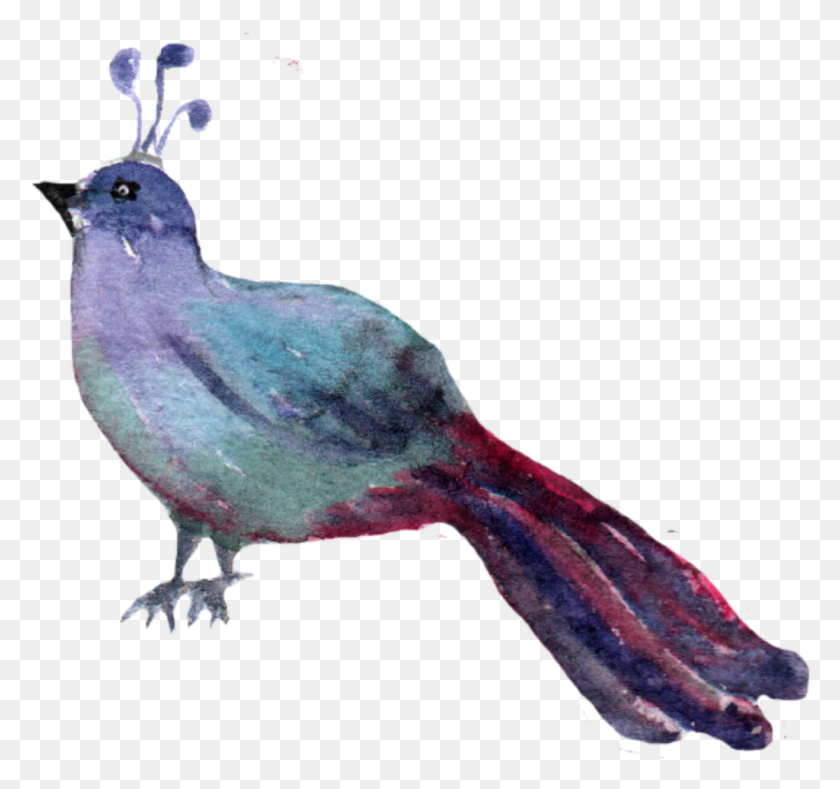 1024x958 Ftestickers Watercolor Clipart Woodlandcreatures Indigo Bunting, Bird, Animal, Bluebird HD PNG Download