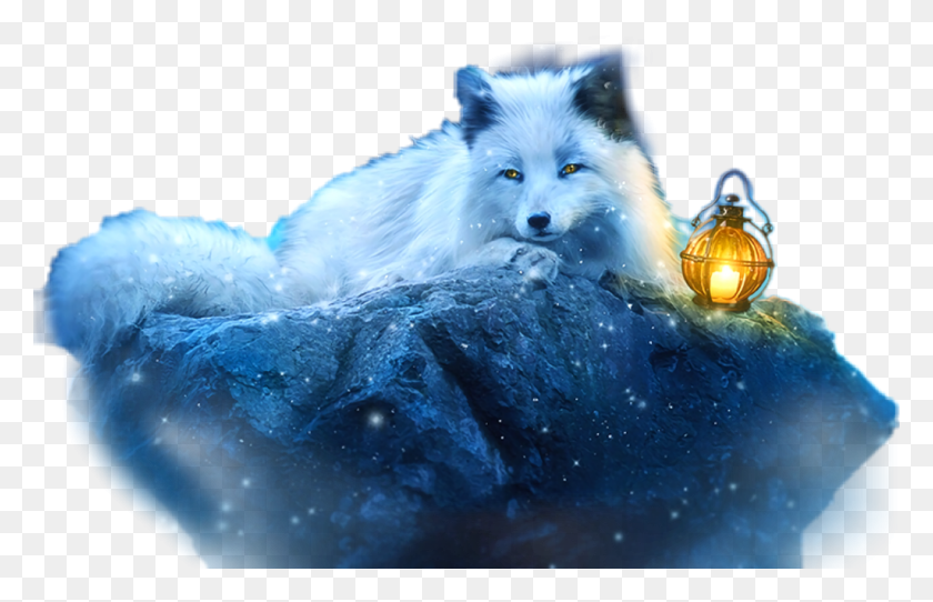 1024x634 Descargar Png Ftestickers White Wolf White Fox Wallpaper, Perro, Mascota, Canino Hd Png