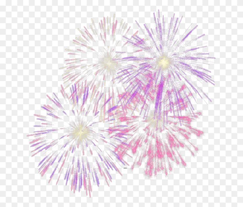 657x655 Fuegos Artificiales, Fuegos Artificiales, La Naturaleza, Al Aire Libre, Iluminación Hd Png