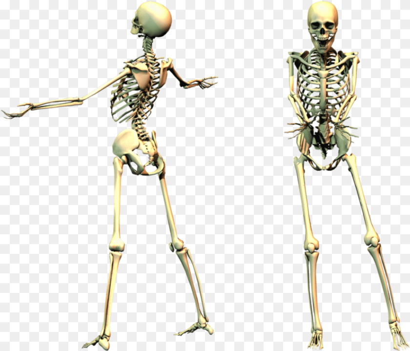 885x758 Full Body Skeleton Transparent Spooky Skeleton, Person, Face, Head Sticker PNG