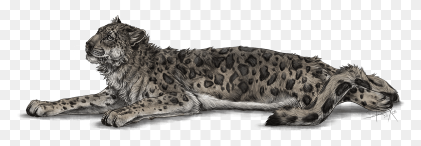 2838x847 Full Image Of The Snow Leppy Decor By Rixon, Panther, Wildlife, Mammal HD PNG Download