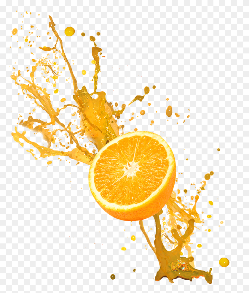 960x1141 Full Orange Rangpur, Plant, Citrus Fruit, Fruit HD PNG Download