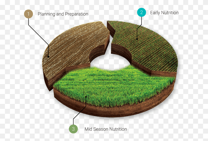 647x510 Full Season Nutrition Management Moss, Soil, Rug, Hole HD PNG Download