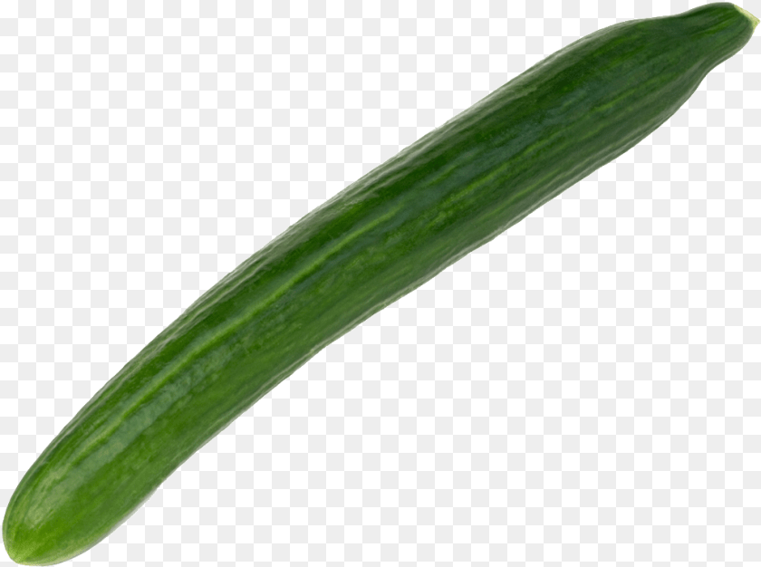 Full Size Image Cucumber, Food, Plant, Produce, Vegetable Transparent PNG