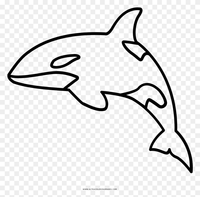 902x889 Full Size Of Coloring Book And Pages Orca Clipart Outline, Gray, World Of Warcraft HD PNG Download