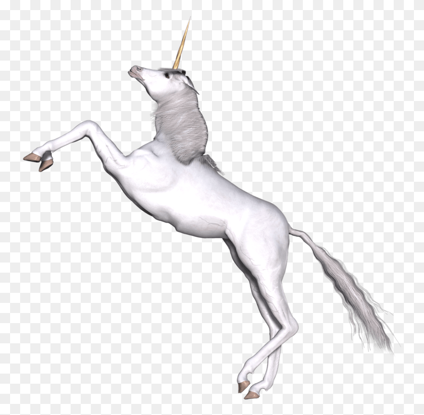 751x762 Белый Единорог Скачущий Прозрачный Единорог Прыгает, Животное, Птица, Млекопитающее Png Скачать