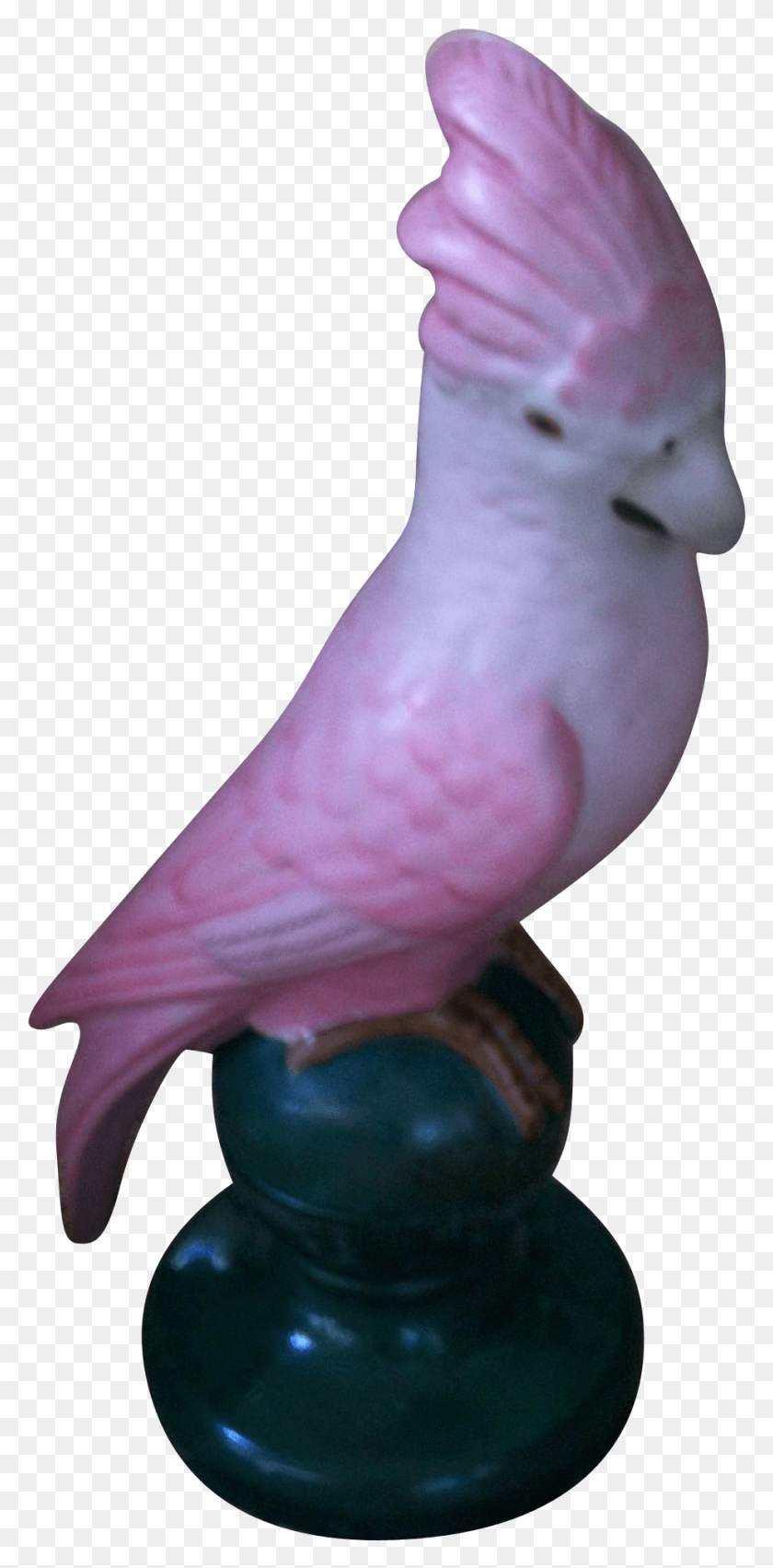 926x1951 Fulper Parrot Cockatoo Perfume Motif Boudoir Lamp 1910, Dove, Pigeon, Bird HD PNG Download