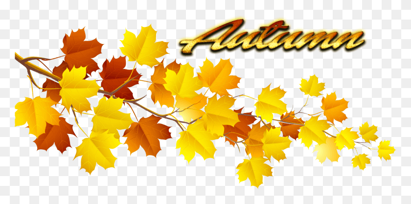 1921x881 Fun Autumn Leaves Clip Art Autumn Leaves Transparent, Leaf, Plant, Tree HD PNG Download