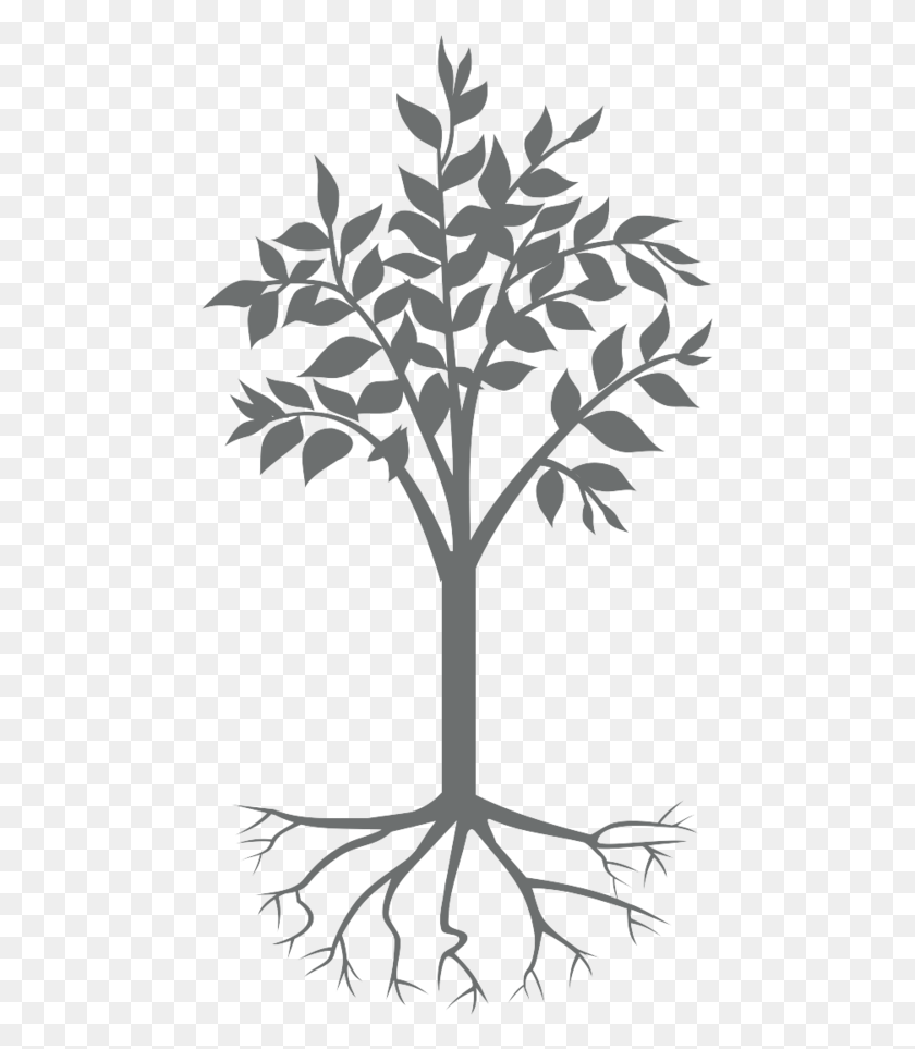 473x903 Functional Medicine Silhouette, Tree, Plant HD PNG Download