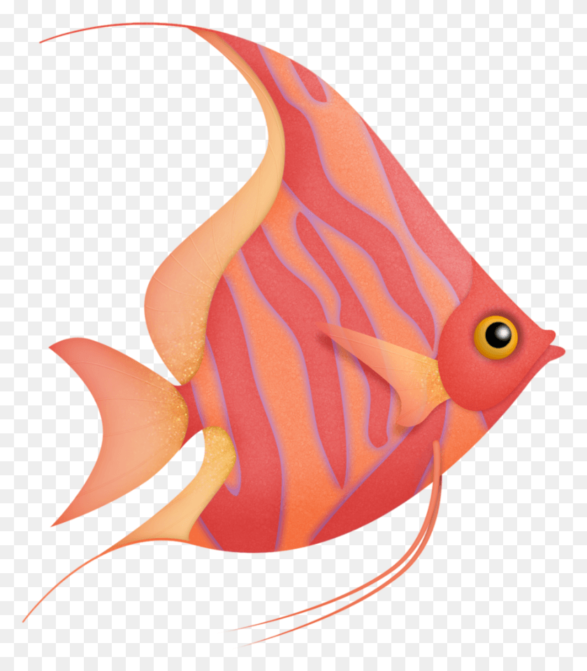 882x1018 Fundo Do Mar Aquarium Colorful Fish Tropical Fish Painting, Angelfish, Sea Life, Animal HD PNG Download