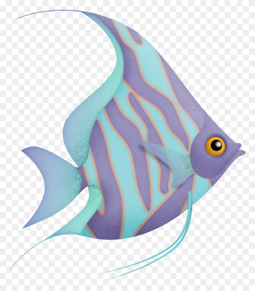 882x1018 Fundo Do Mar Pez Angel Fish Drawings Cute Drawings Riba Risunok, Angelfish, Sea Life, Animal HD PNG Download