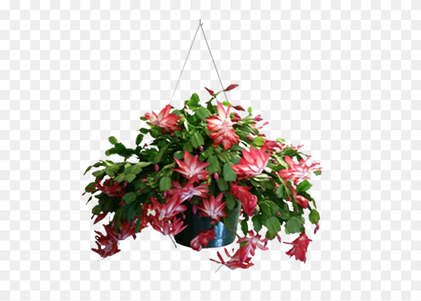 519x601 Funeral Flower Arrangements, Pottery, Potted Plant, Planter, Plant Transparent PNG