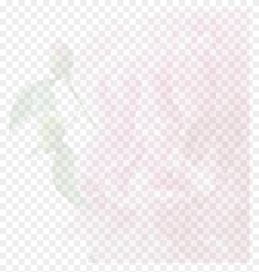 1030x1088 Похоронный Цветок Похоронный Фон, Растение, Цветение, Пион Hd Png Скачать