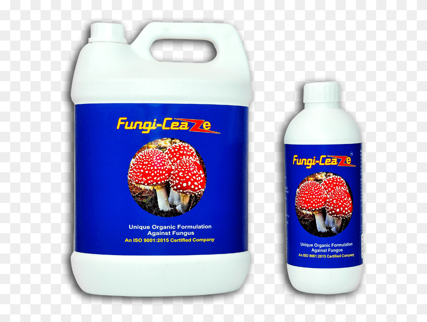 608x575 Fungi Ceaze Plastic Bottle, Plant, Mushroom, Fungus HD PNG Download