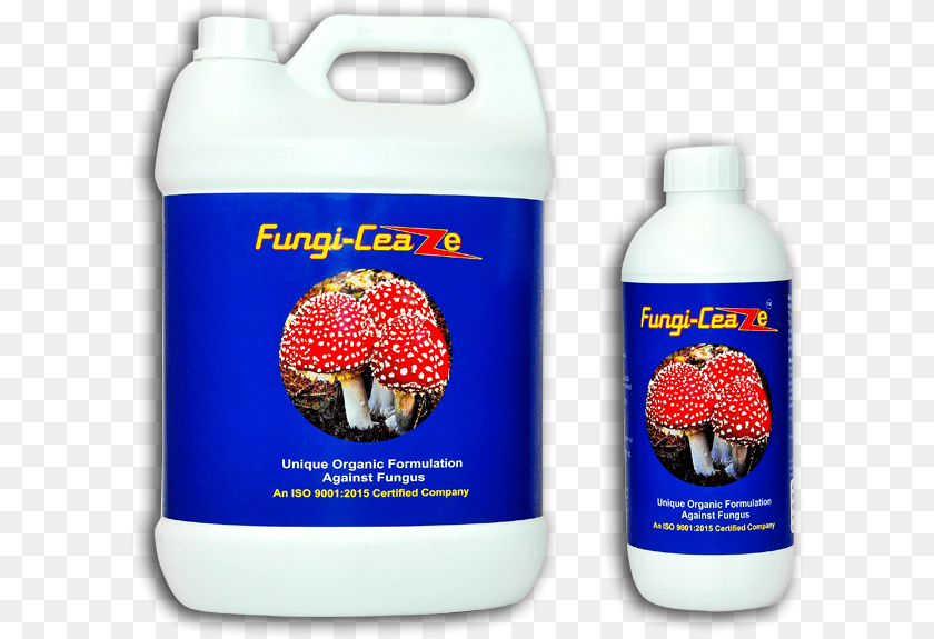 608x575 Fungi Ceaze Plastic Bottle, Fungus, Plant, Mushroom, Agaric PNG