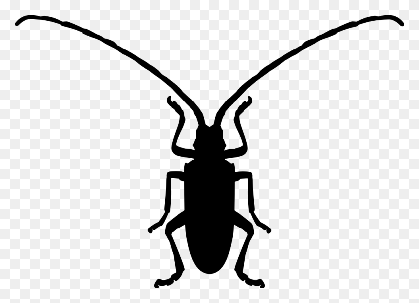 980x690 Fungus Beetle Insect Shape Comments Kfer Symbol, Invertebrate, Animal, Ant HD PNG Download