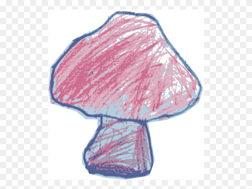 522x570 Fungus Red Data Book Of Ukraine Mushroom Paxillus Oil Sketch, Nature, Outdoors, Mountain HD PNG Download