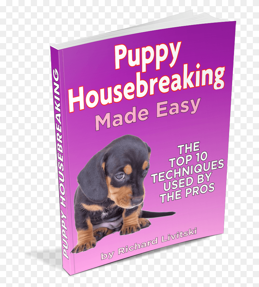 693x872 Funny Dog Names Rottweiler, Pet, Canine, Animal HD PNG Download
