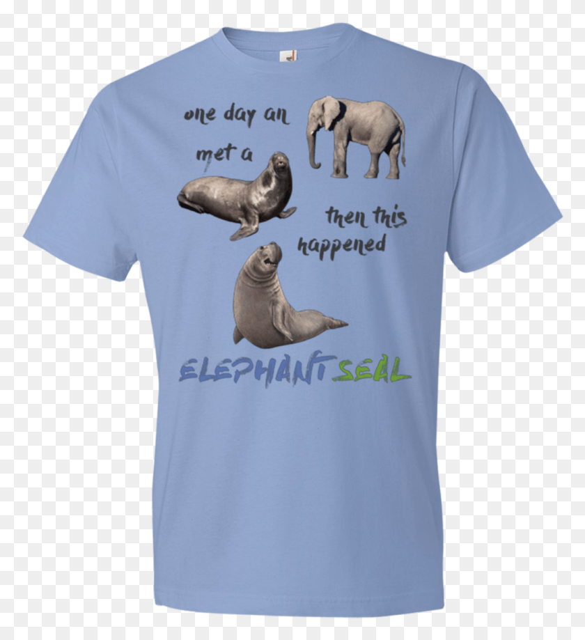 1042x1148 Funny Elephant Seals T Shirt, Clothing, Apparel, T-shirt HD PNG Download