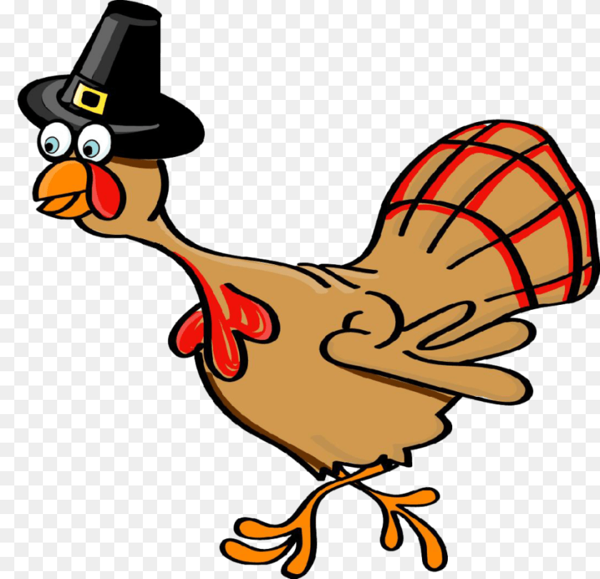 958x925 Funny Thanksgiving Clip Art Phenomenal Funny Thanksgiving, Animal, Bird, Chicken, Fowl Clipart PNG