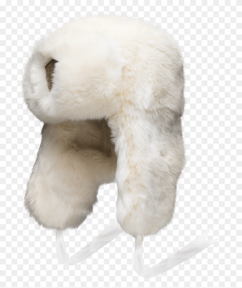 716x942 Fur Clothing, Bear, Wildlife, Mammal HD PNG Download