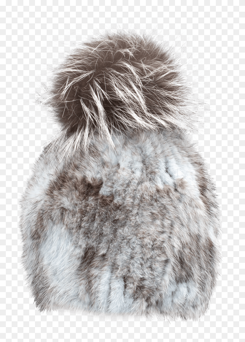 1194x1702 Fur Clothing, Rug, Animal, Mammal HD PNG Download