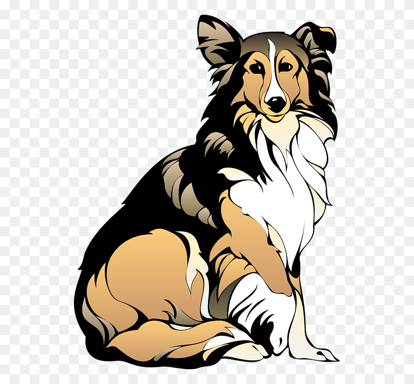 540x720 Furry Collie Dog Clip Art, Animal, Pet, Canine HD PNG Download