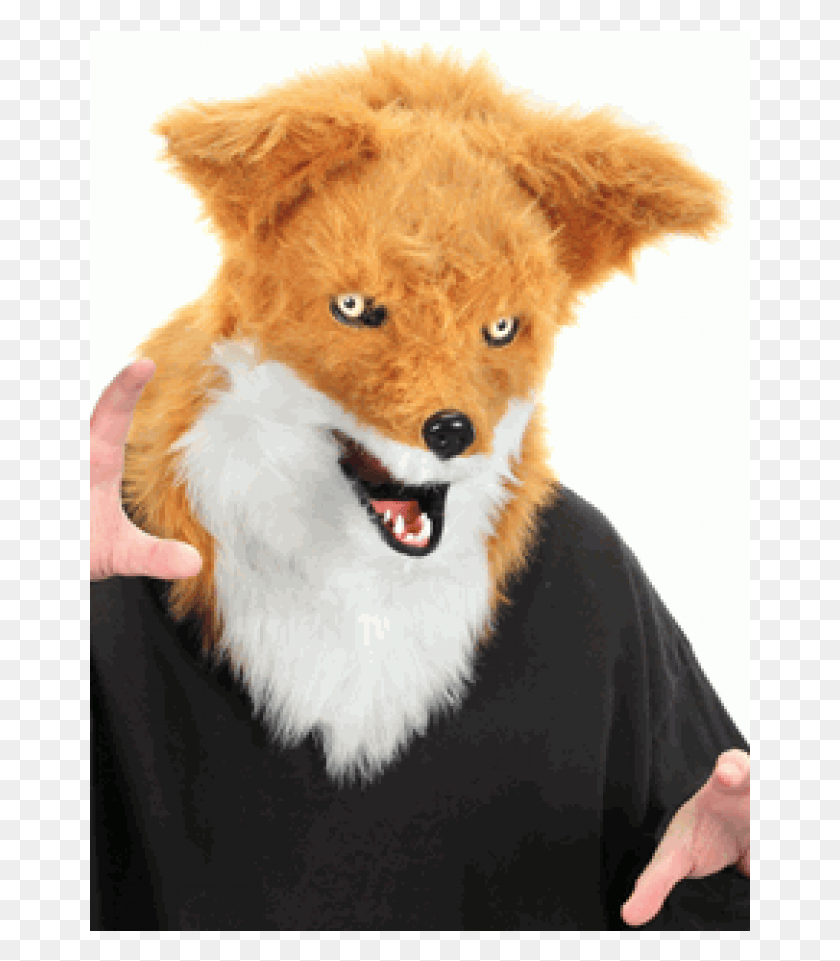 661x901 Furry Fox Mouth Mover Mask At Cosplay Costume Closet Mouth Moving Mask, Wildlife, Mammal, Animal HD PNG Download