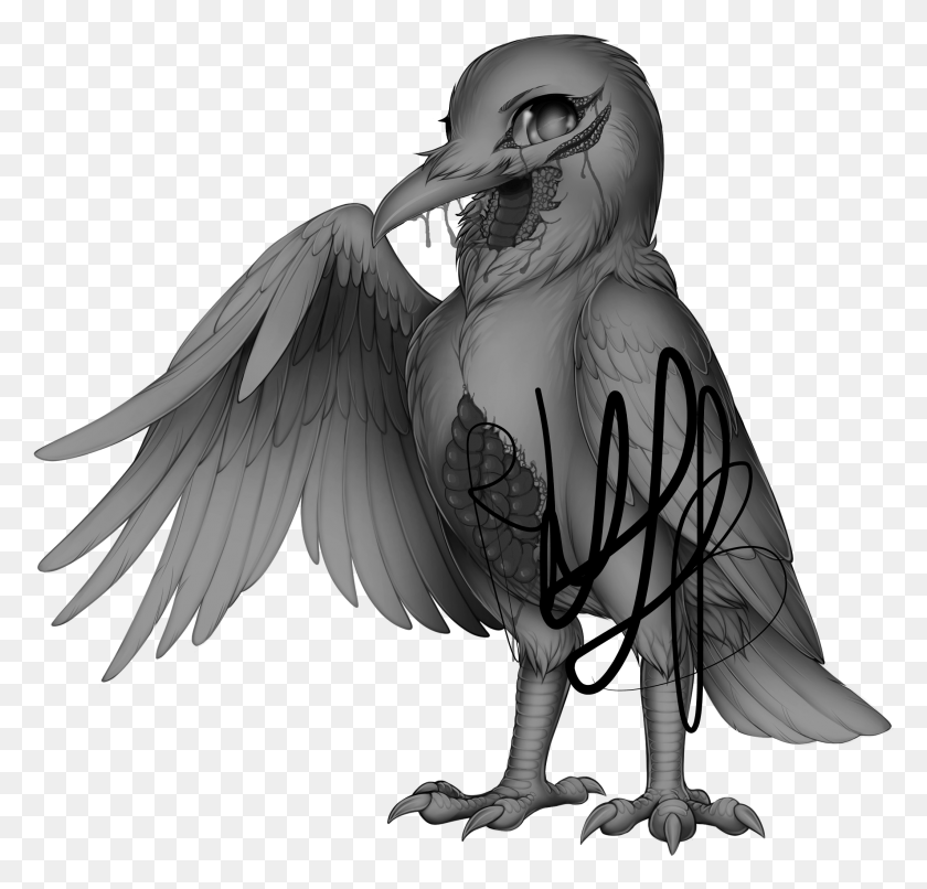 2127x2036 Furvilla Base Crow, Bird, Animal Hd Png