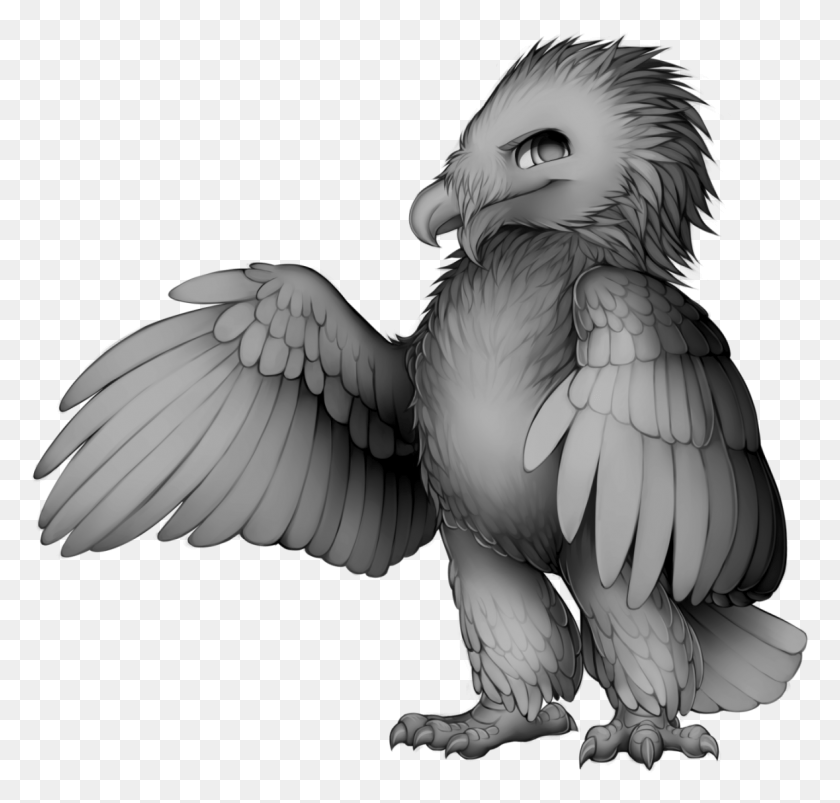 1179x1124 Furvilla Bearded Vulture Base Furvilla Bases Free, Bird, Animal, Condor HD PNG Download