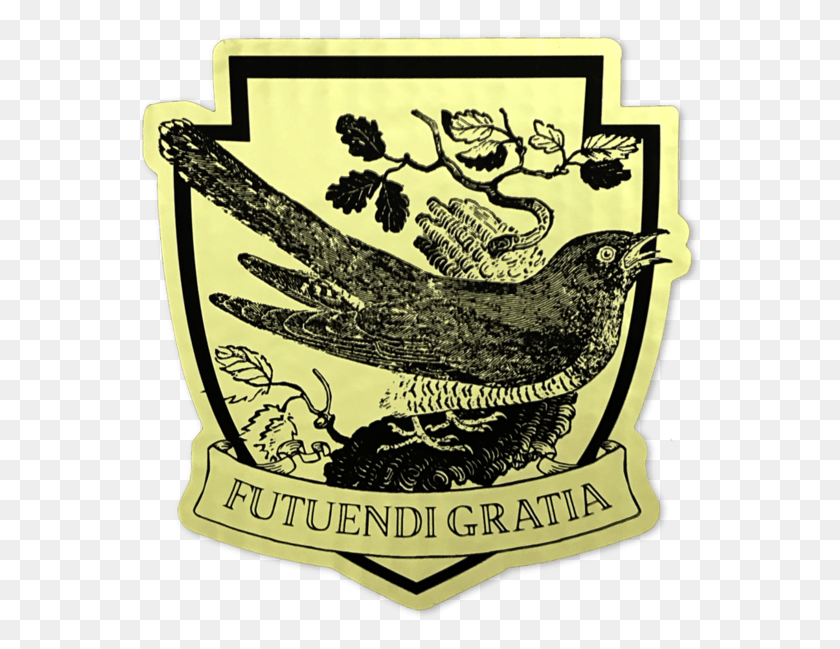 565x589 Futuendi Gratia, Bird, Animal, Logo HD PNG Download