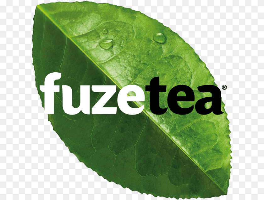 641x639 Fuze Tea Varieties Logo Fuze Tea, Leaf, Plant Clipart PNG