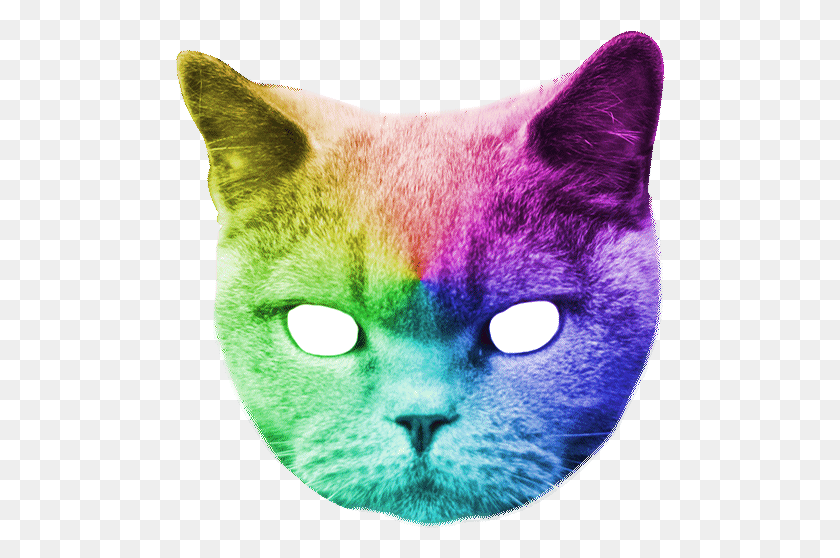 490x498 Galaxy Cat Head, Mascota, Mamífero, Animal Hd Png