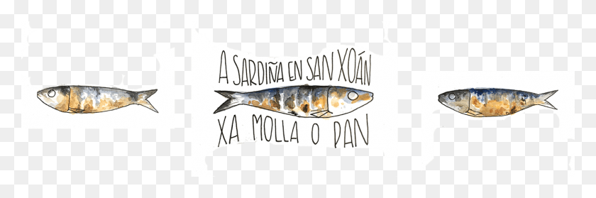 1280x360 Galician Seafood Perch, Fish, Animal, Mullet Fish HD PNG Download