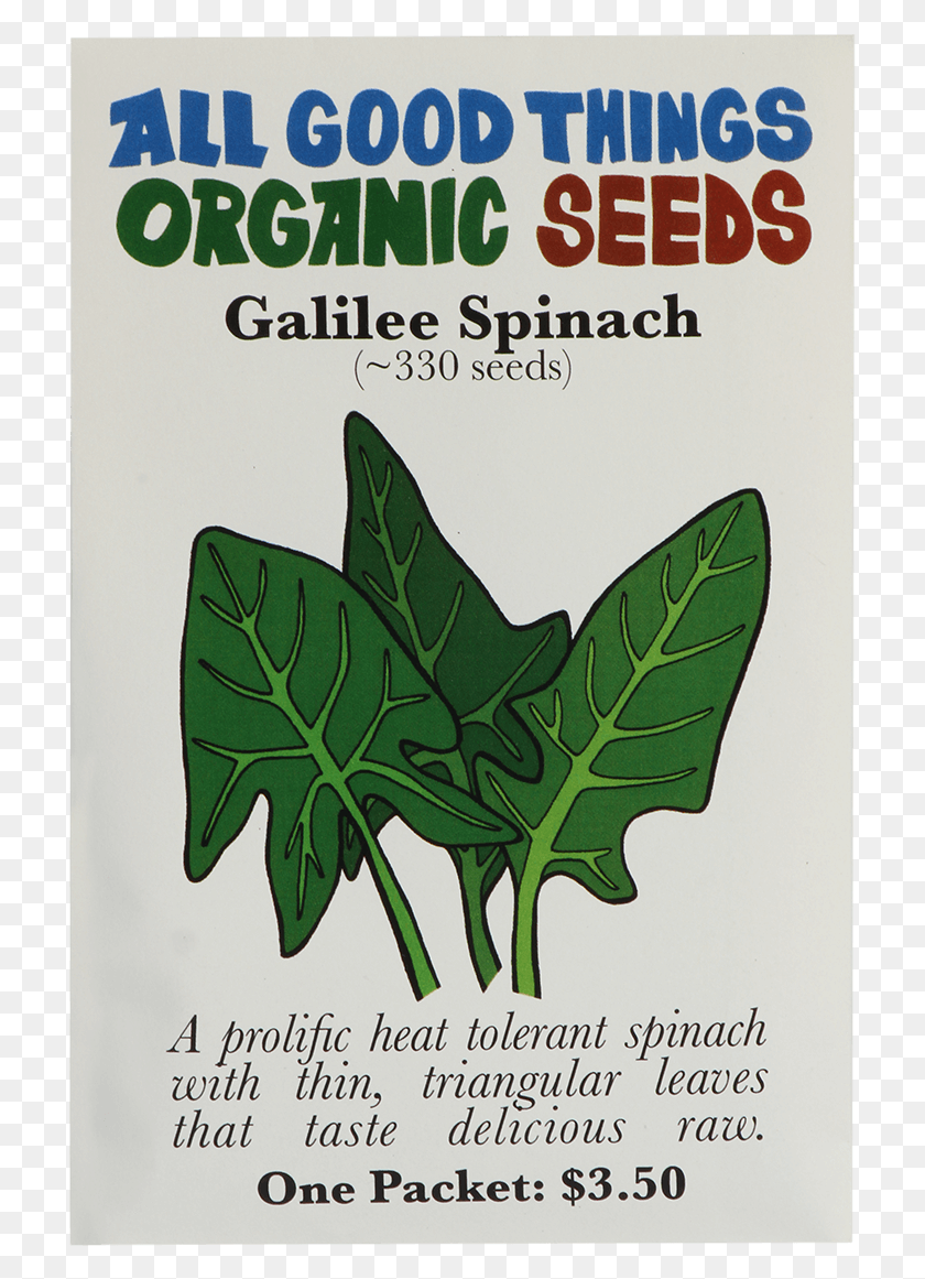 715x1101 Galilee Spinach Poster, Plant, Leaf, Advertisement HD PNG Download