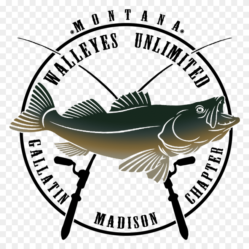 1017x1018 Логотип Gallatin Madison Walleyes Unlimited Dileri Bakanl Yeni, Рыба, Животное, Морская Жизнь Png Скачать