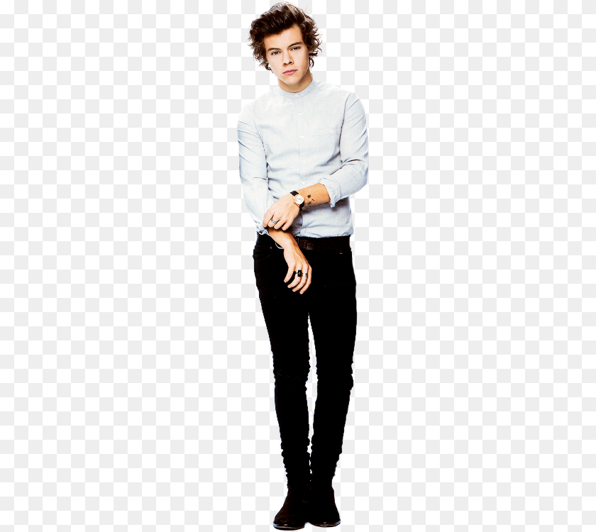 Gallery, Long Sleeve, Blouse, Sleeve, Clothing PNG